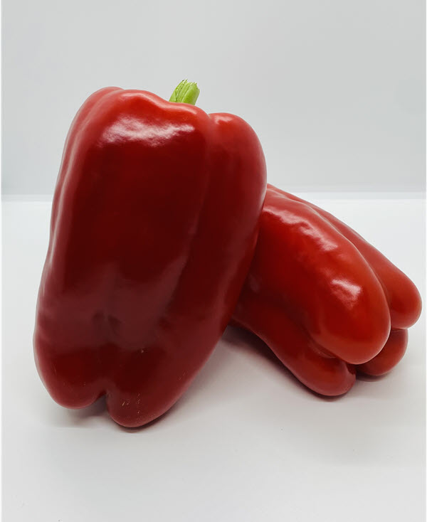 RED CYCLONE Pepper SEMINIS